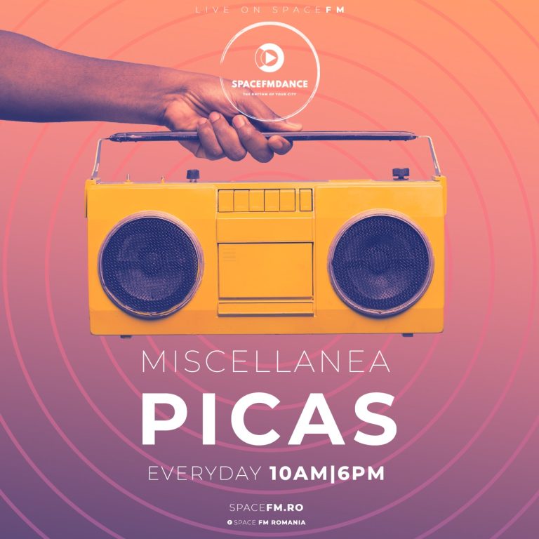 PICAS NEW FLAYER